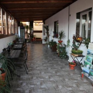 Фотография гостевого дома Мечта туриста