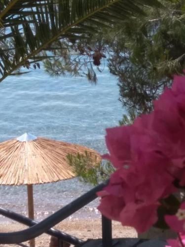 Фотография апарт отеля A. & C. Michailidi (Haris Mihailidis)