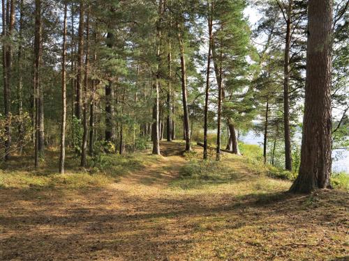 Фотографии апарт отеля
Солнечный лес