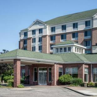 Фотографии гостиницы
Hilton Garden Inn Detroit Metro Airport