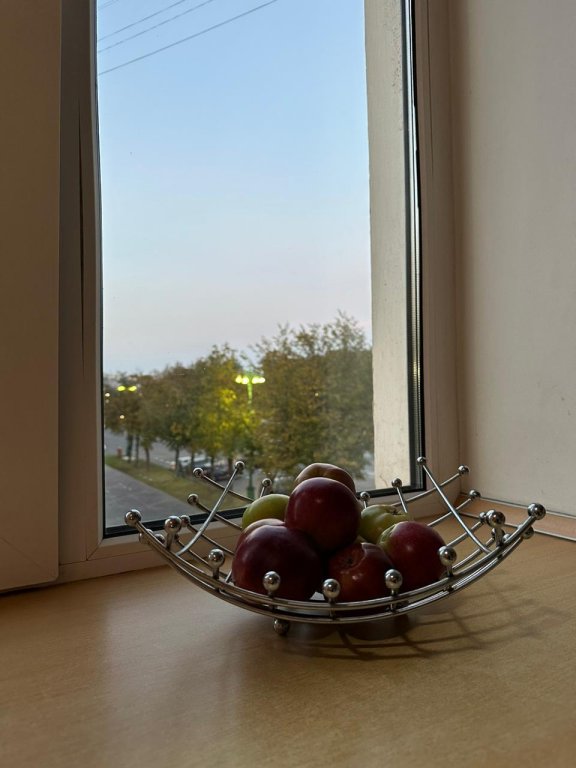 Фотография квартиры Апартаменты на улице Мерецкова Волосова