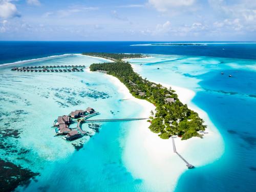 Фотография гостиницы Niyama Private Islands Maldives