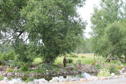 Фотография гостевого дома Raamatu puhkemaja