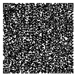 QR код музея Музей декоративно-прикладного искусства Санкт-Петербургской Государственной художественно-промышленной академии