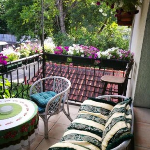 Фотография гостиницы Hotel Paradise