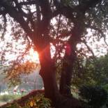 Фотография гостевого дома Tatenda Guest House