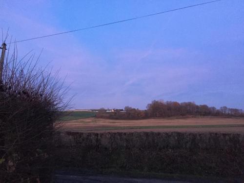 Фотография мини отеля La BerryCurienne proche du zoo de Beauval Saint-Aignan