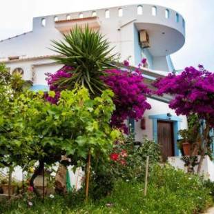 Фотографии гостевого дома 
            Jodi's Pension