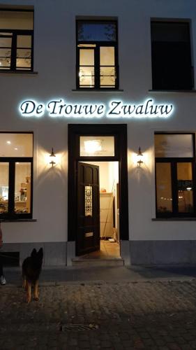Фотографии мини отеля 
            De Trouwe Zwaluw