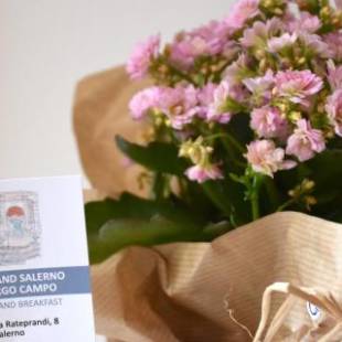 Фотографии мини отеля
Bed And Salerno - Largo Campo