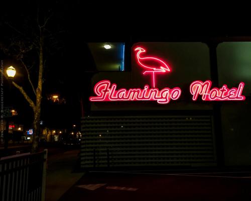 Фотография мотеля The Flamingo Motel San Jose