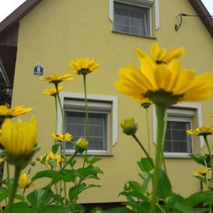 Фотография гостевого дома Napocska Vendégház Harkány