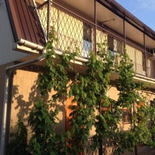 Фотография гостевого дома Гребенская 50