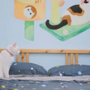 Фотографии мини отеля
Red Letter Day