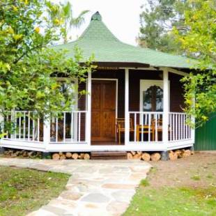 Фотографии гостиницы
Arcadia Hotel