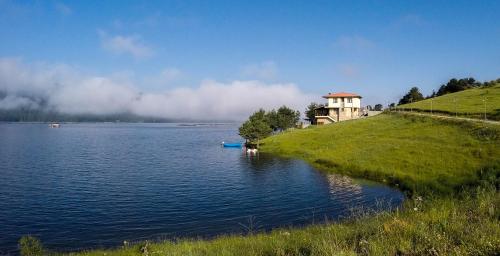 Фотография гостевого дома Divna Guest House