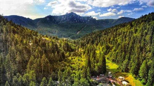 Фотография кемпинга Camping Ursulet Durau