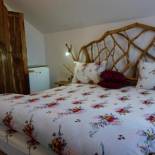 Фотография гостевого дома Casa Vlad