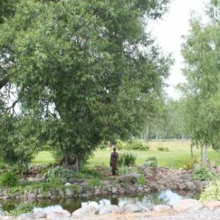 Фотографии гостевого дома
Raamatu puhkemaja