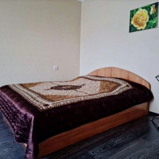 Фотография квартиры Квартира Уютная на Ленина 70