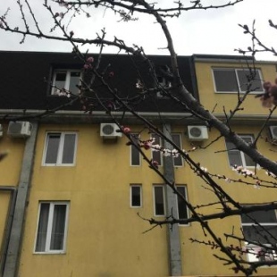 Фотография гостевого дома Каролина