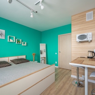 Фотография квартиры Апартаменты Рябинина 47