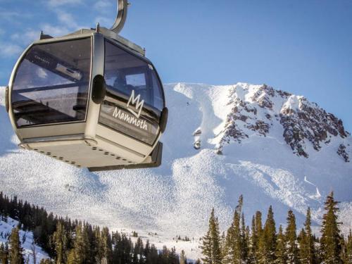 Фотография гостевого дома Silver Bear 41