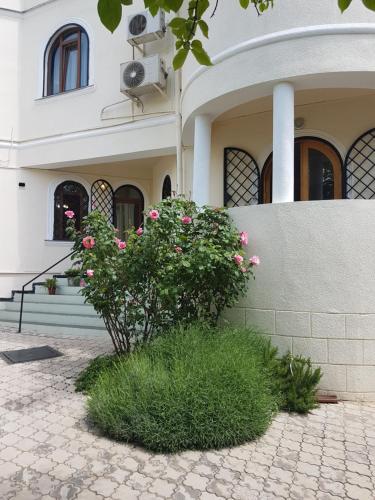 Фотография гостиницы Badagi