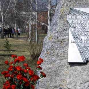 Фотография памятника Памятный камень Ликвидаторам Чернобыльской катастрофы