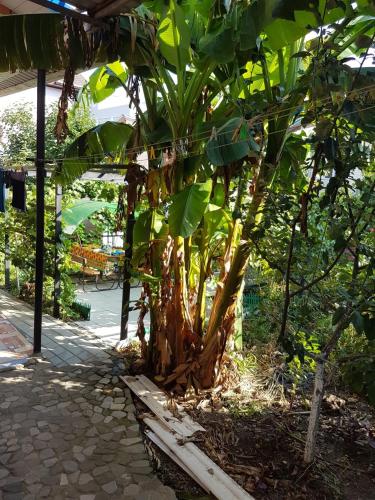 Фотографии гостевого дома
Тишина