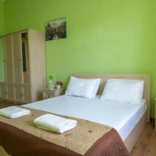 Фотография квартиры Апартаменты 2-й переулок Вахтанга Горгасали 3