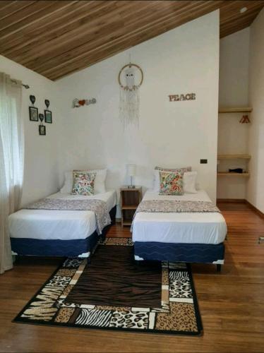 Фотография мини отеля Casa Kimba