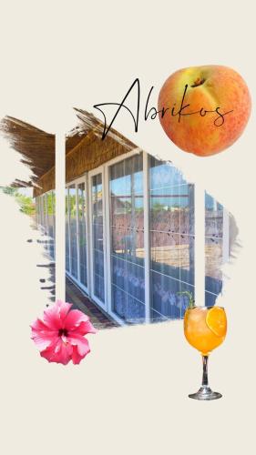 Фотографии гостиницы
Абрикос