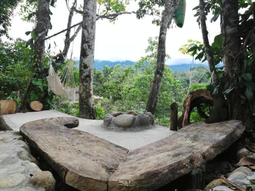 Фотография кемпинга Jungle Roots Glamping