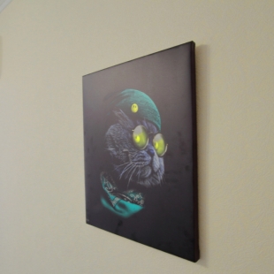 Фотография квартиры Апартаменты Ипподром