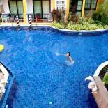 Фотография апарт отеля Venetian Poseidon Pool Hotel