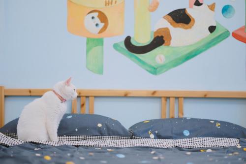 Фотография мини отеля Red Letter Day