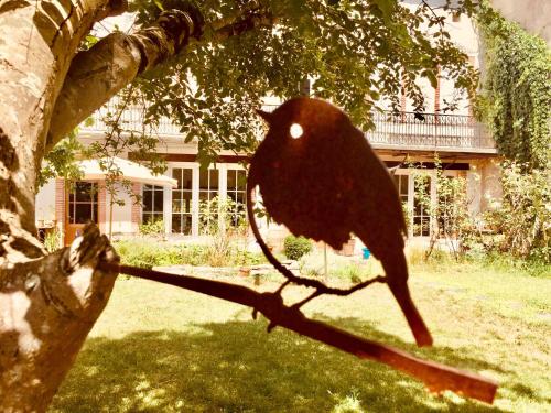 Фотография мини отеля Numero22 Chambres d'hôtes