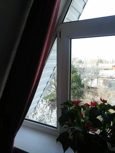 Фотография мини отеля Клуб РЕСПЕКТ