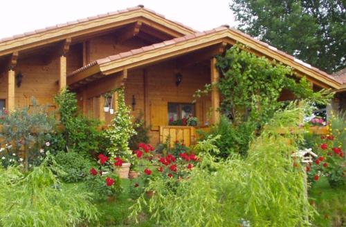 Фотография мини отеля B&B Paraiso Madera