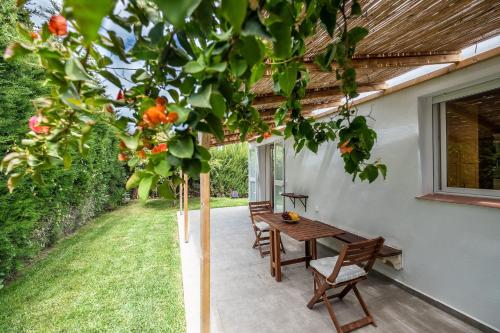 Фотография гостевого дома Casa Panda