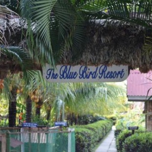 Фотография гостиницы The Blue Bird Resort