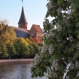 Фотография квартиры Апартаменты Богдана Хмельницкого 75