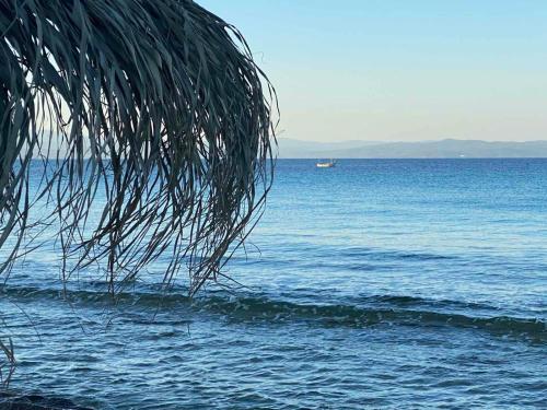 Фотографии гостиницы
Limna Beach