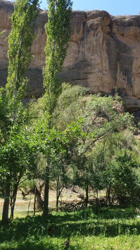 Фотография гостевого дома Green Park