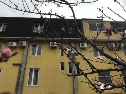 Фотография гостевого дома Каролина