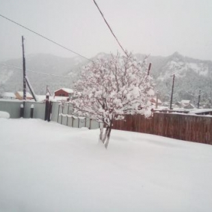 Фотография гостевого дома Дом у Валентины