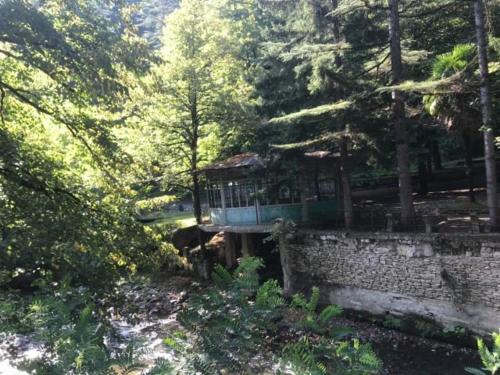 Фотография гостиницы Сулори