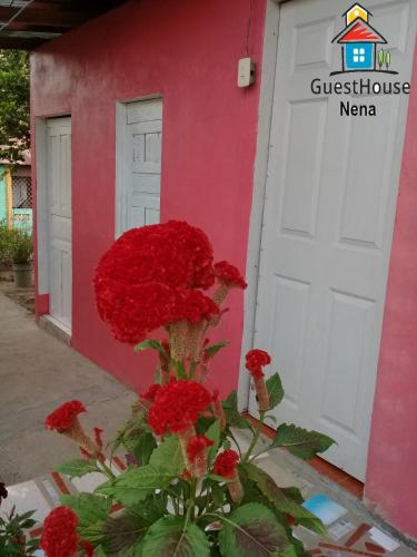 Фотографии гостевого дома
Guest House Nena