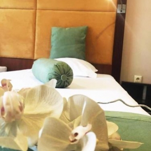 Фотография гостиницы Hotel Rody